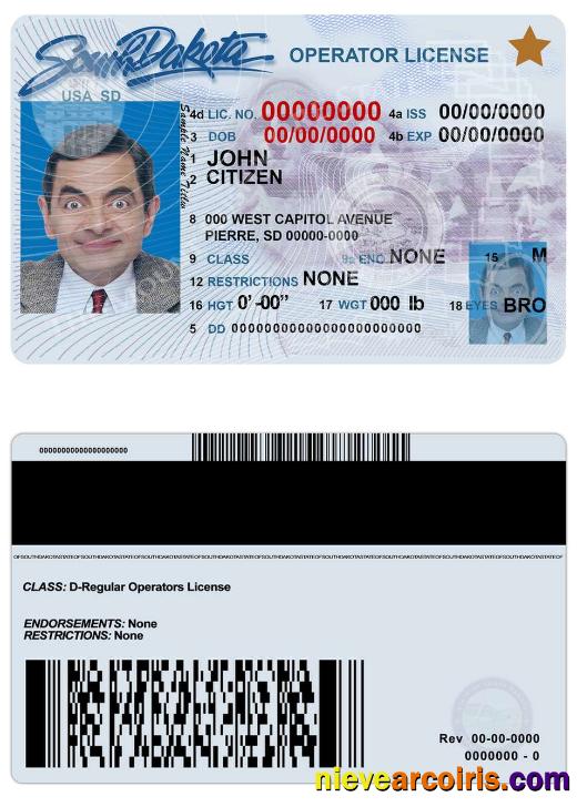 USA South Dakota driving license